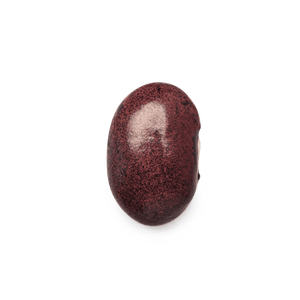 Frijoles Ayocote Pinto