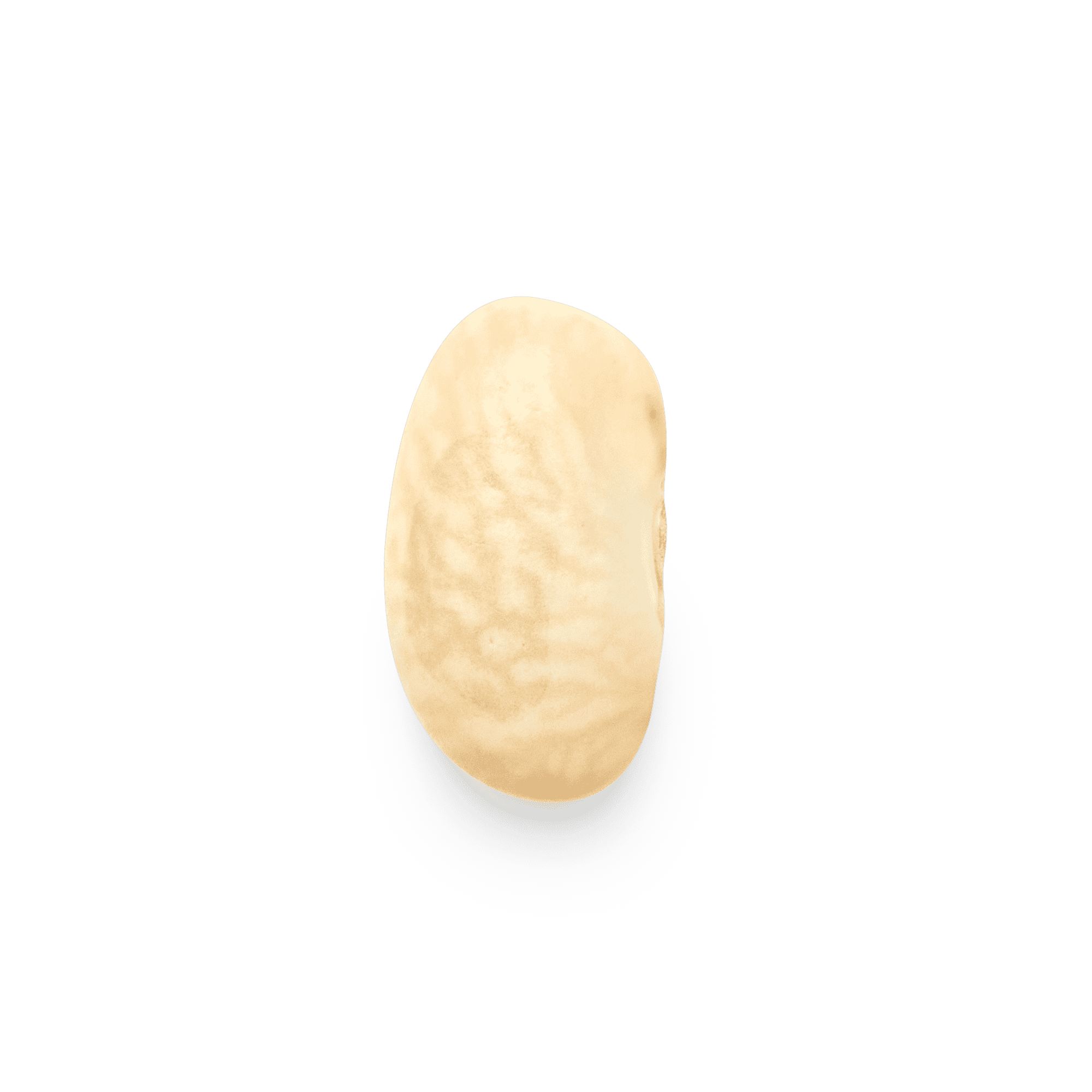 Heirloom Chivo Blanco | Alubias Blancas Masienda de México | #1 de #3