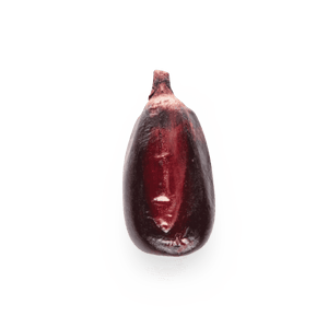 Cónico Morado